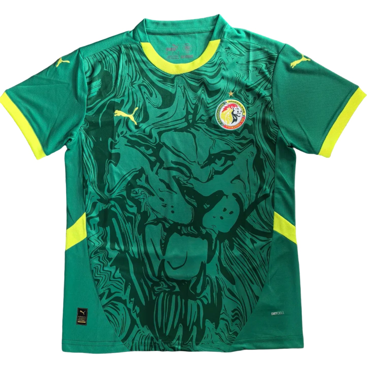 Maillot concept Sénégal