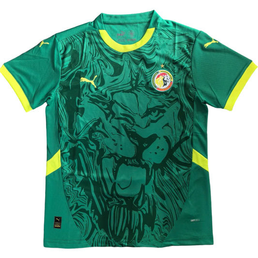 Maillot concept Sénégal